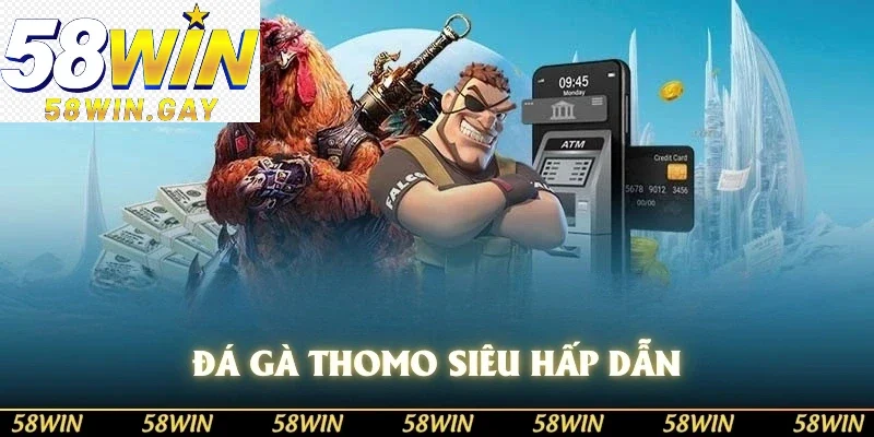 Đá gà Thomo siêu hấp dẫn