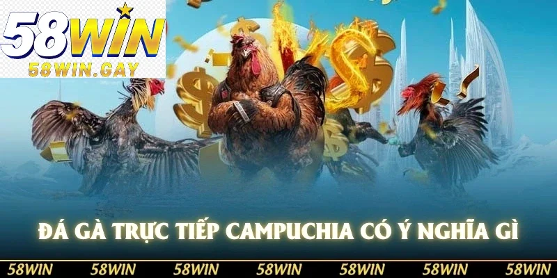 Đá gà trực tiếp Campuchia có ý nghĩa gì?