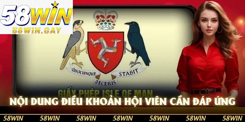 Nội dung điều khoản chi tiết mà hội viên cần đáp ứng 