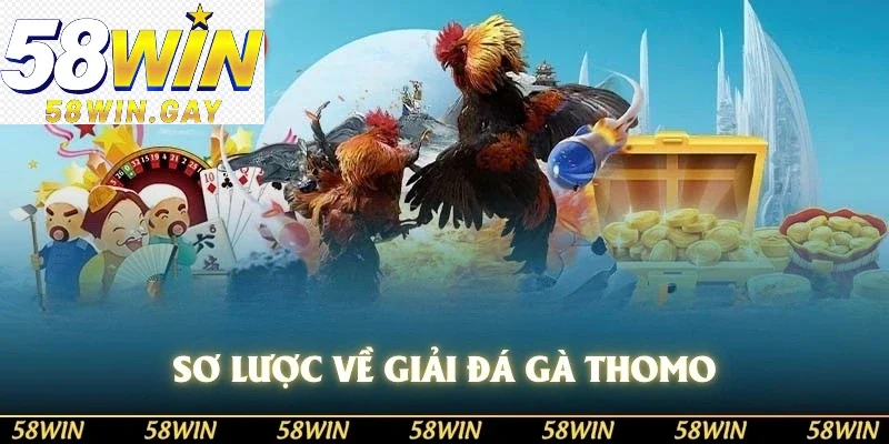 Sơ lược về giải đá gà thomo
